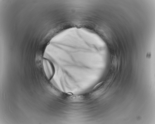 X0000090430526200708102008