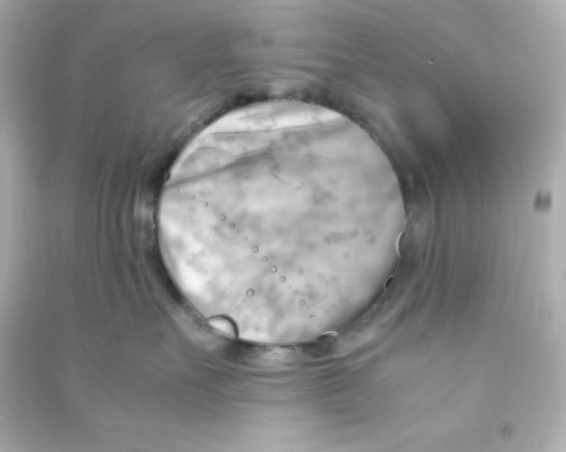 X0000090430527200708102008