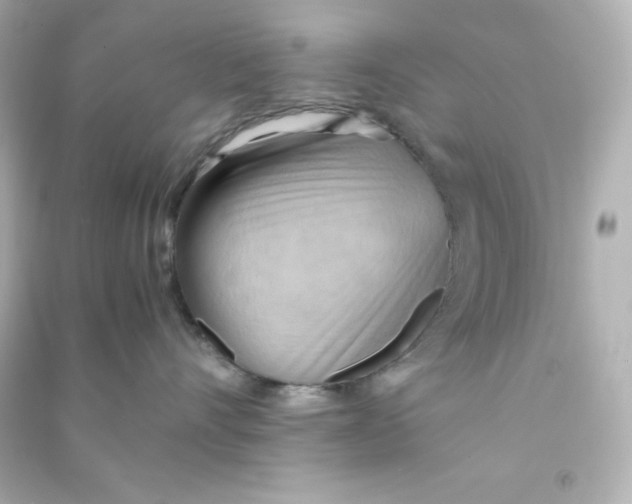 X0000090430528200708102008