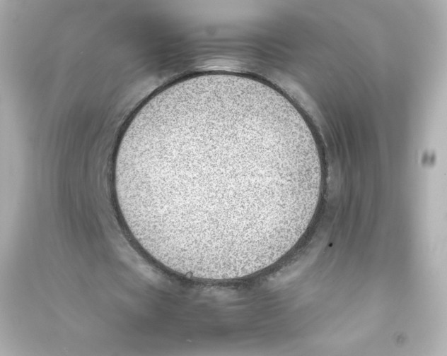 X0000090430529200708102007