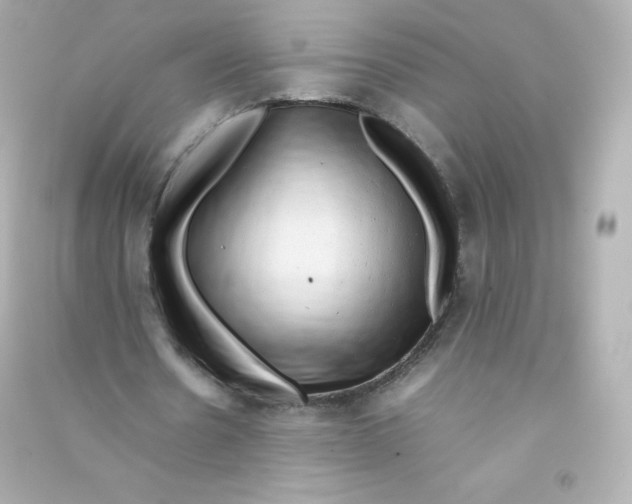 X0000090430530200708102007