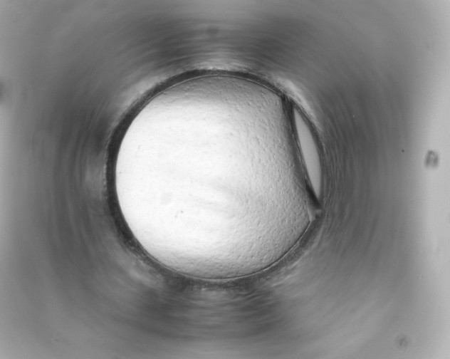 X0000090430531200708102007