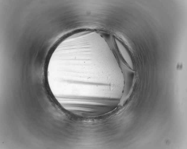 X0000090430532200708102007