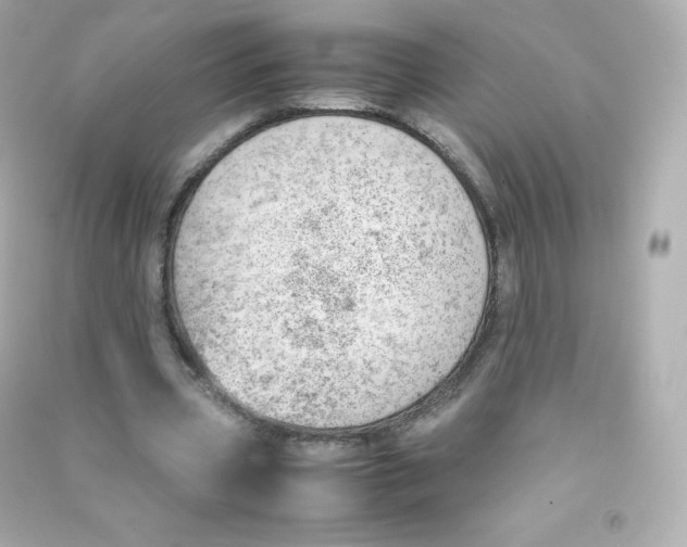 X0000090430533200708102007