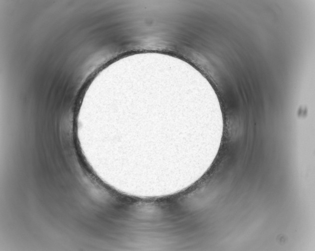 X0000090430534200708102007