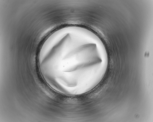 X0000090430535200708102007