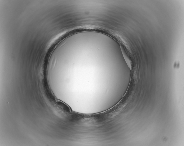 X0000090430536200708102007