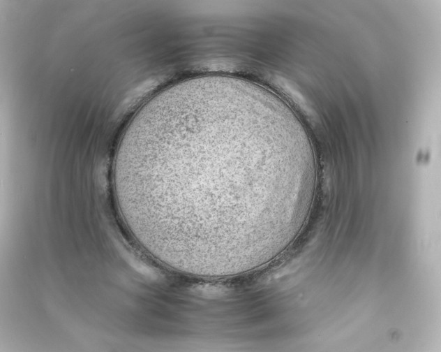 X0000090430537200708102007