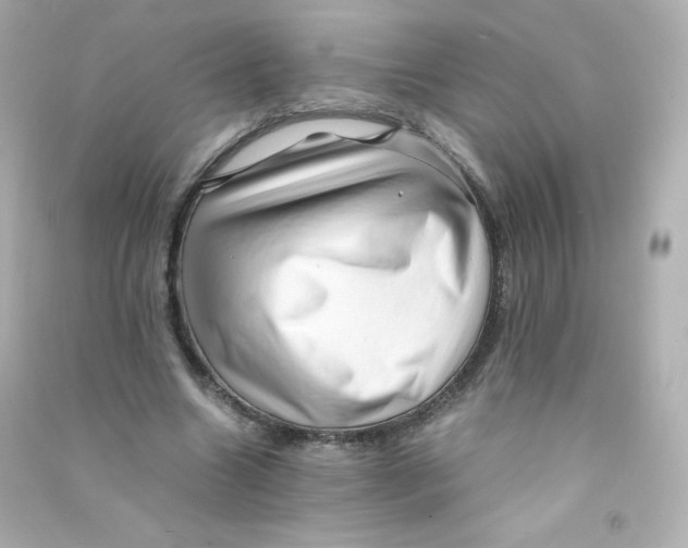 X0000090430538200708102007