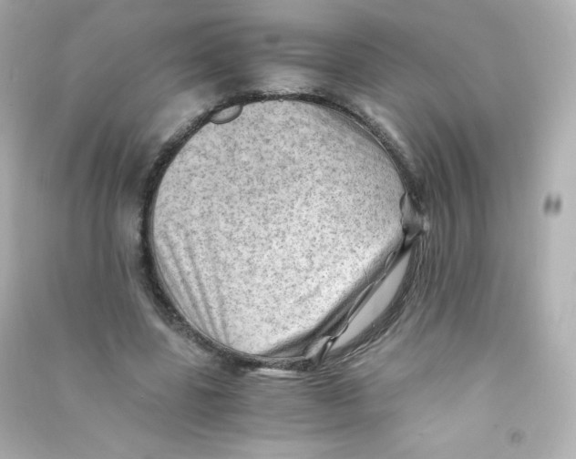 X0000090430539200708102007