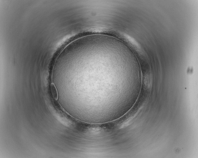 X0000090430540200708102007