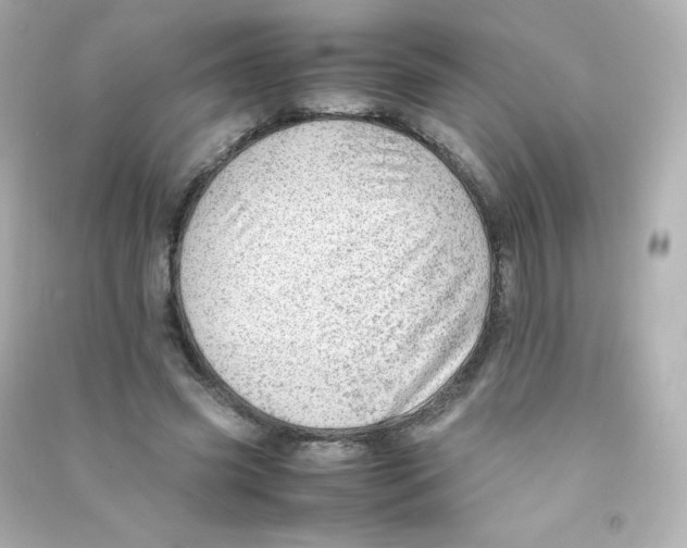 X0000090430541200708102007
