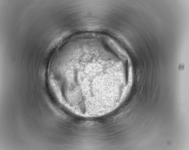 X0000090430542200708102007