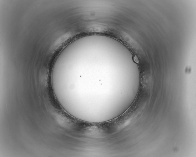 X0000090430544200708102007
