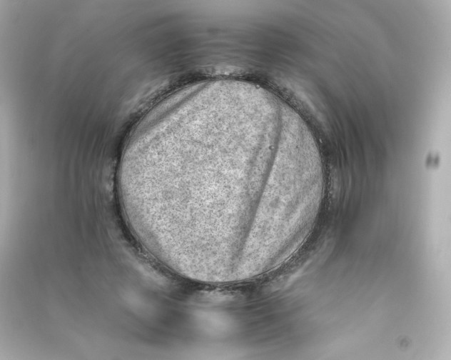 X0000090430545200708102007