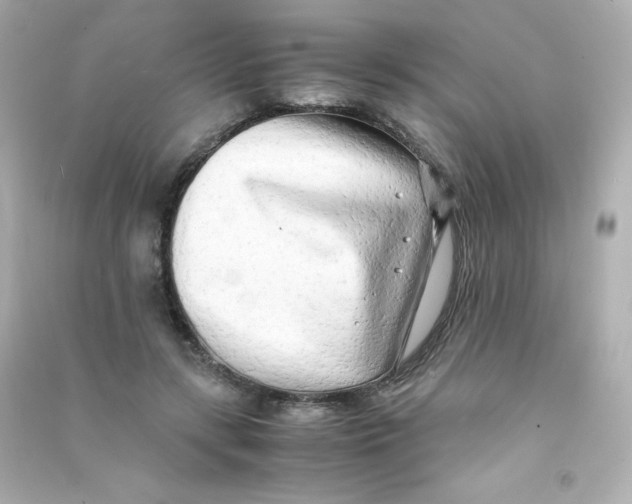 X0000090430547200708102007