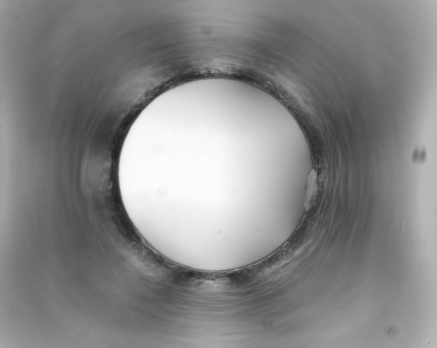 X0000090430548200708102007