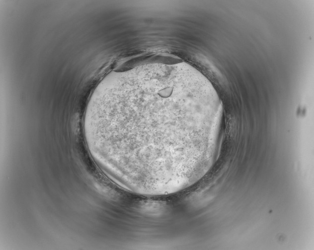 X0000090430549200708102007