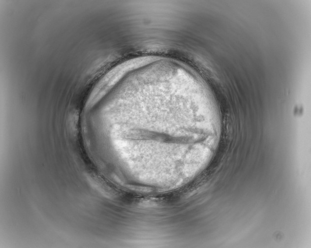 X0000090430550200708102007