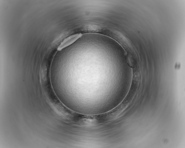 X0000090430552200708102007
