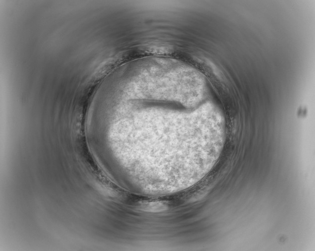 X0000090430553200708102007