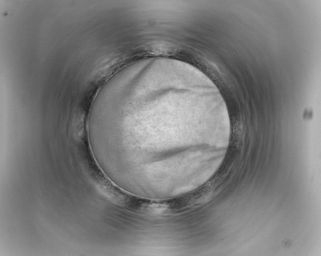 X0000090430554200708102007