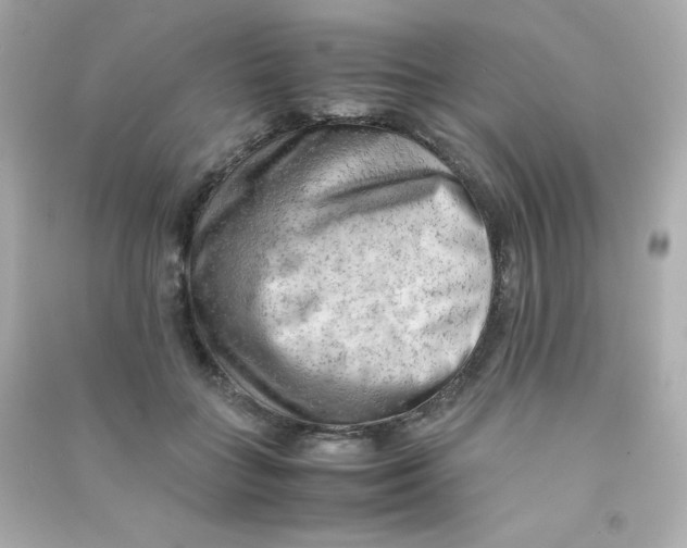 X0000090430555200708102007
