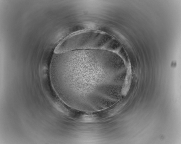 X0000090430556200708102007