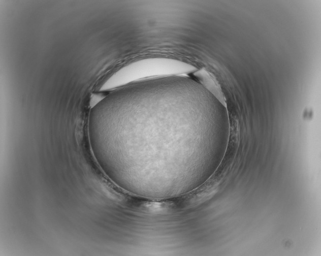 X0000090430558200708102007