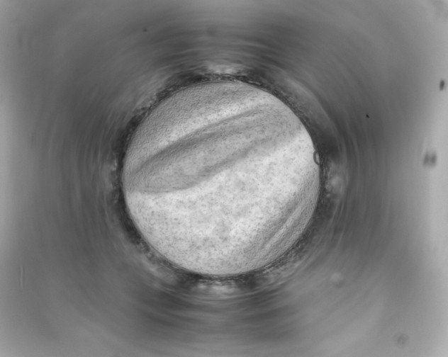 X0000090430559200708102007