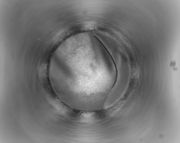 X0000090430560200708102007