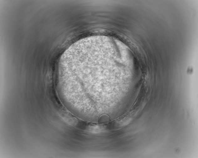 X0000090430561200708102007