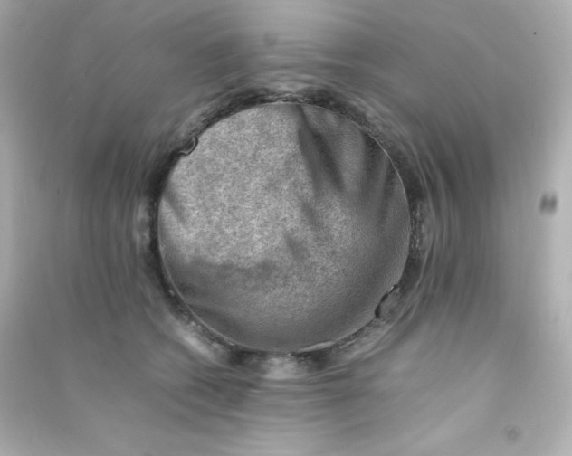 X0000090430562200708102007
