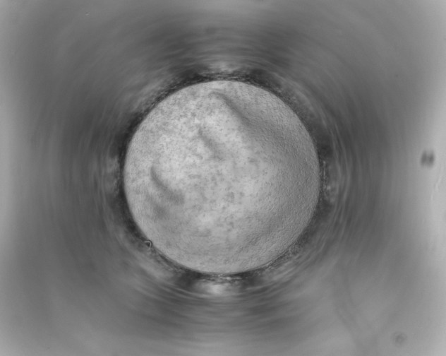 X0000090430563200708102007