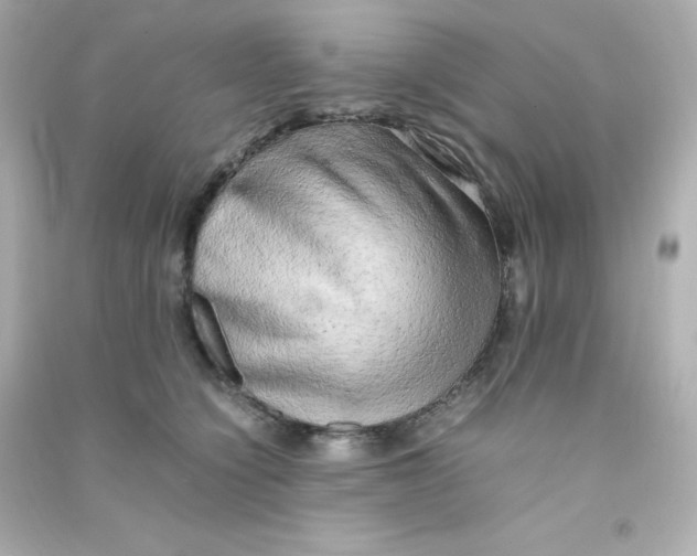X0000090430564200708102007