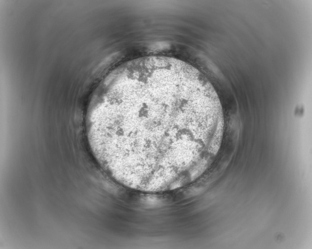 X0000090430565200708102007