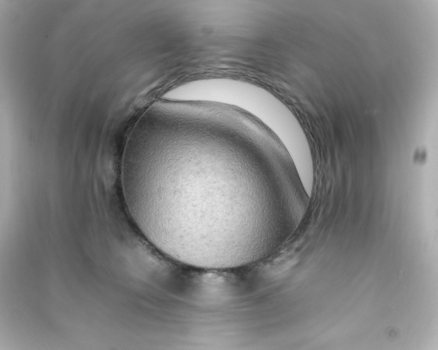X0000090430566200708102007