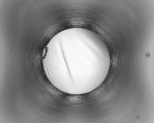 X0000090430567200708102007
