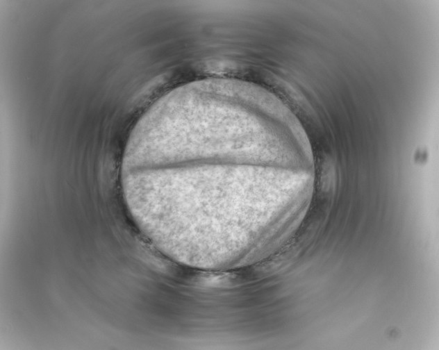 X0000090430569200708102007