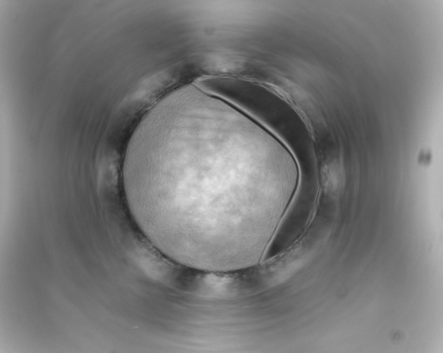 X0000090430570200708102007