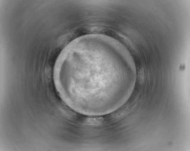 X0000090430571200708102007