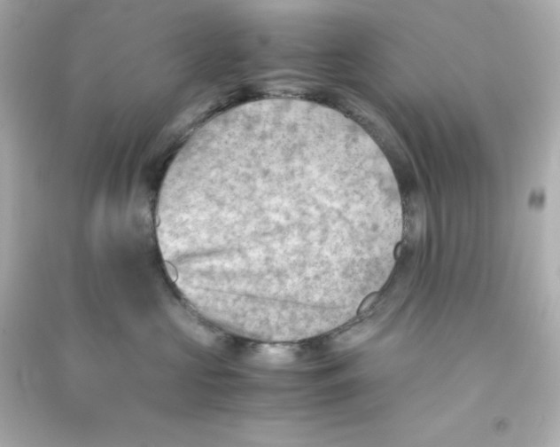 X0000090430573200708102008