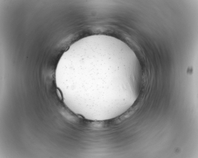 X0000090430574200708102008