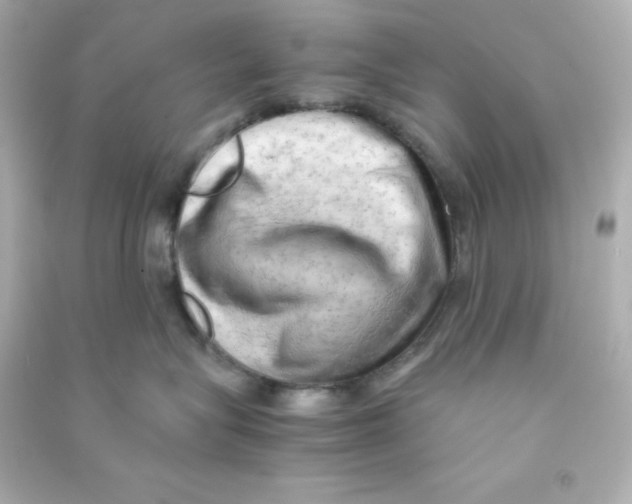 X0000090430575200708102008