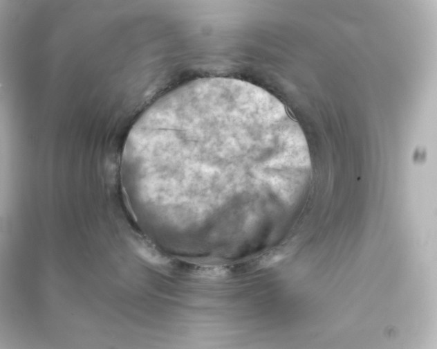 X0000090430576200708102008