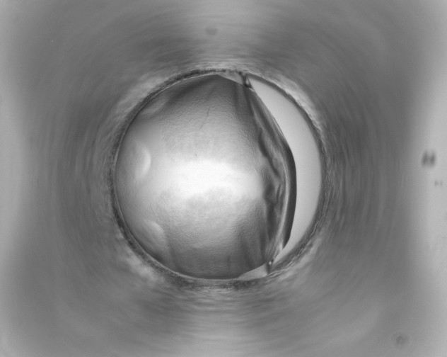 X0000090430577200708102007