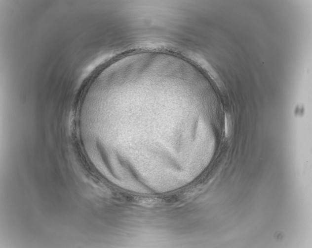 X0000090430579200708102007