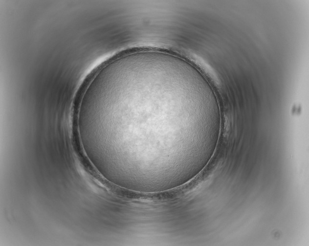 X0000090430580200708102007