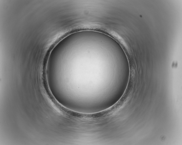 X0000090430581200708102007