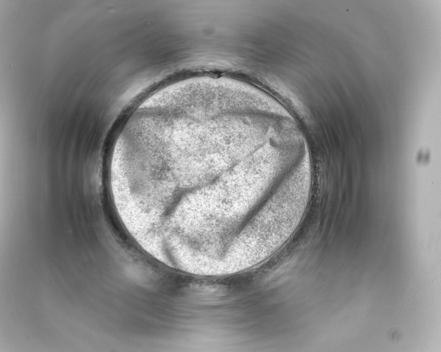 X0000090430582200708102007